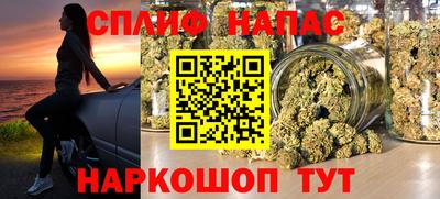 сатива Кунгур