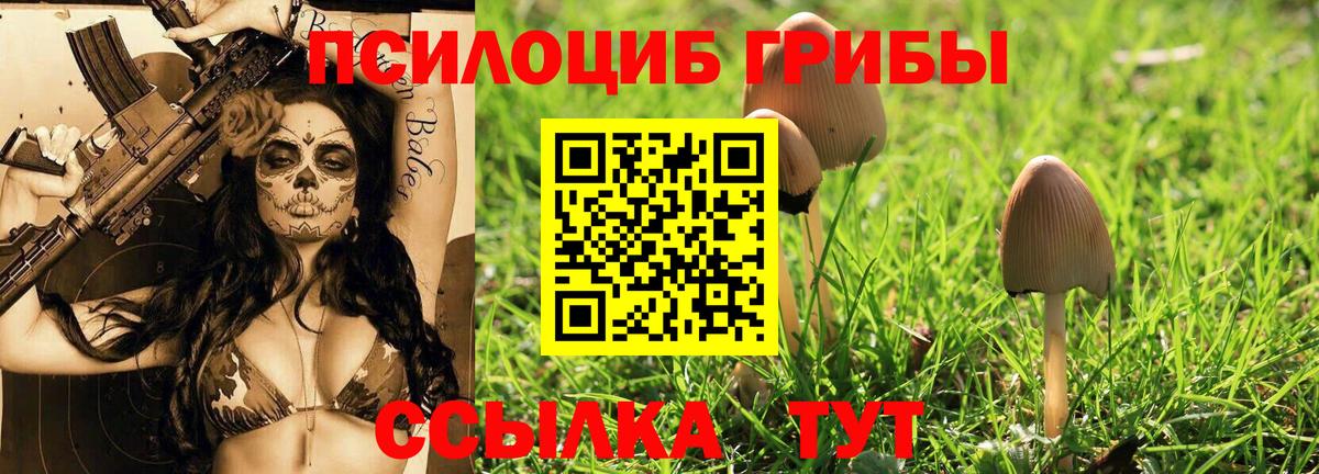 Псилоцибиновые грибы мухоморы  Вход с VPN  Тихорецк 