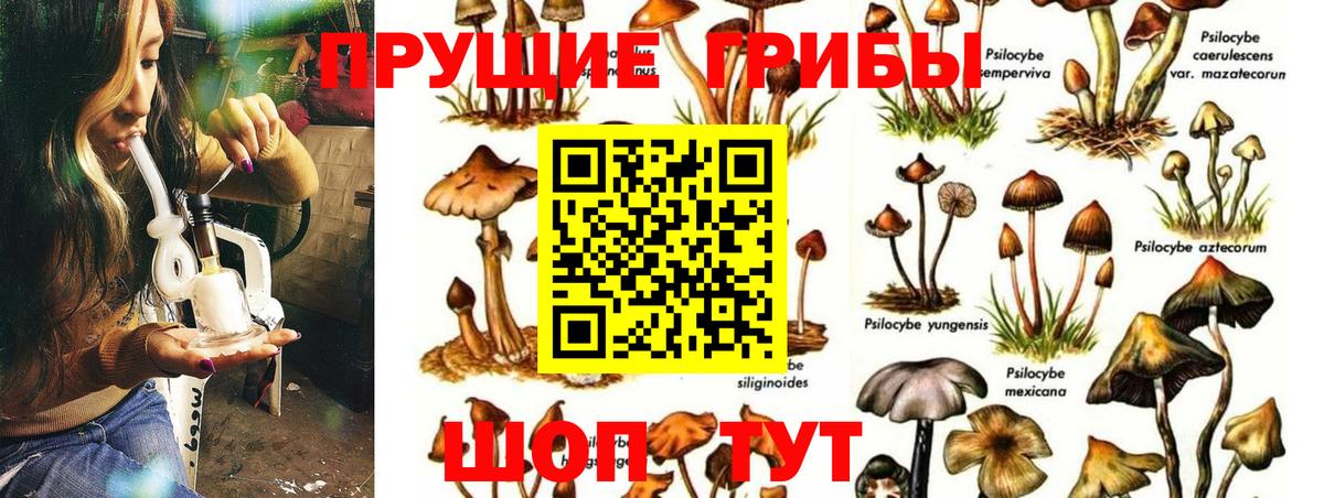 Галлюциногенные грибы Magic Shrooms Тихорецк